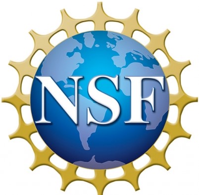 NSF Logo