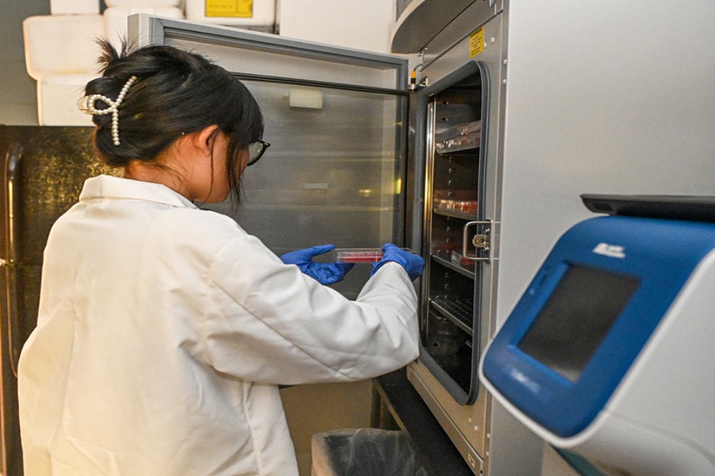 TROY pre-health profession student working in a lab on the Troy Campus