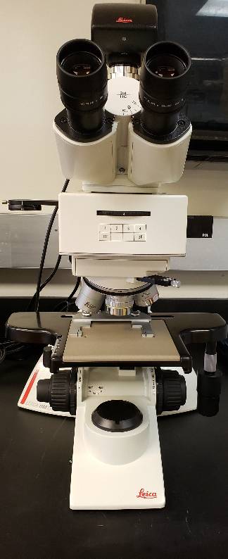 Leica Microscope