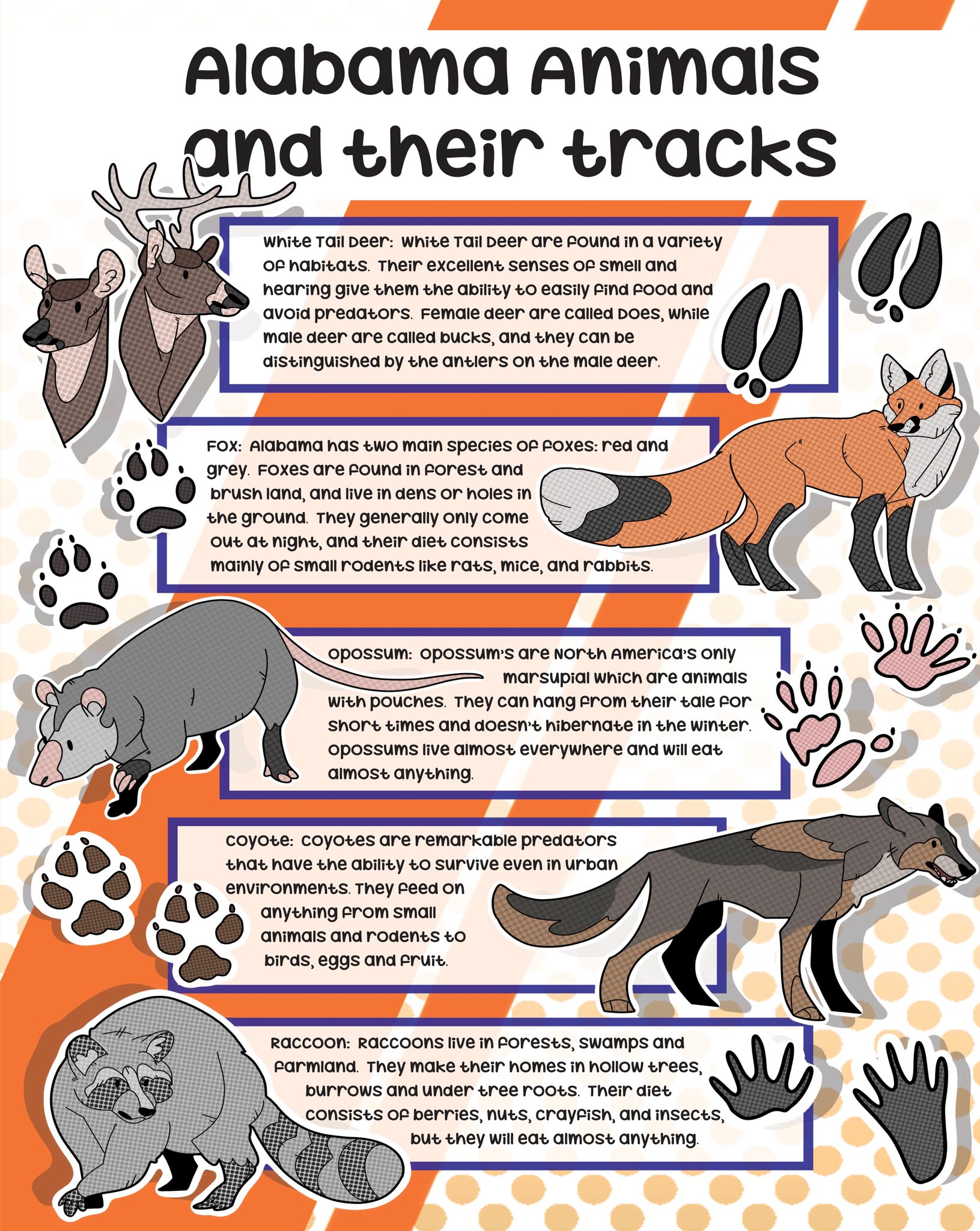 troy elementary info graphics poster 1