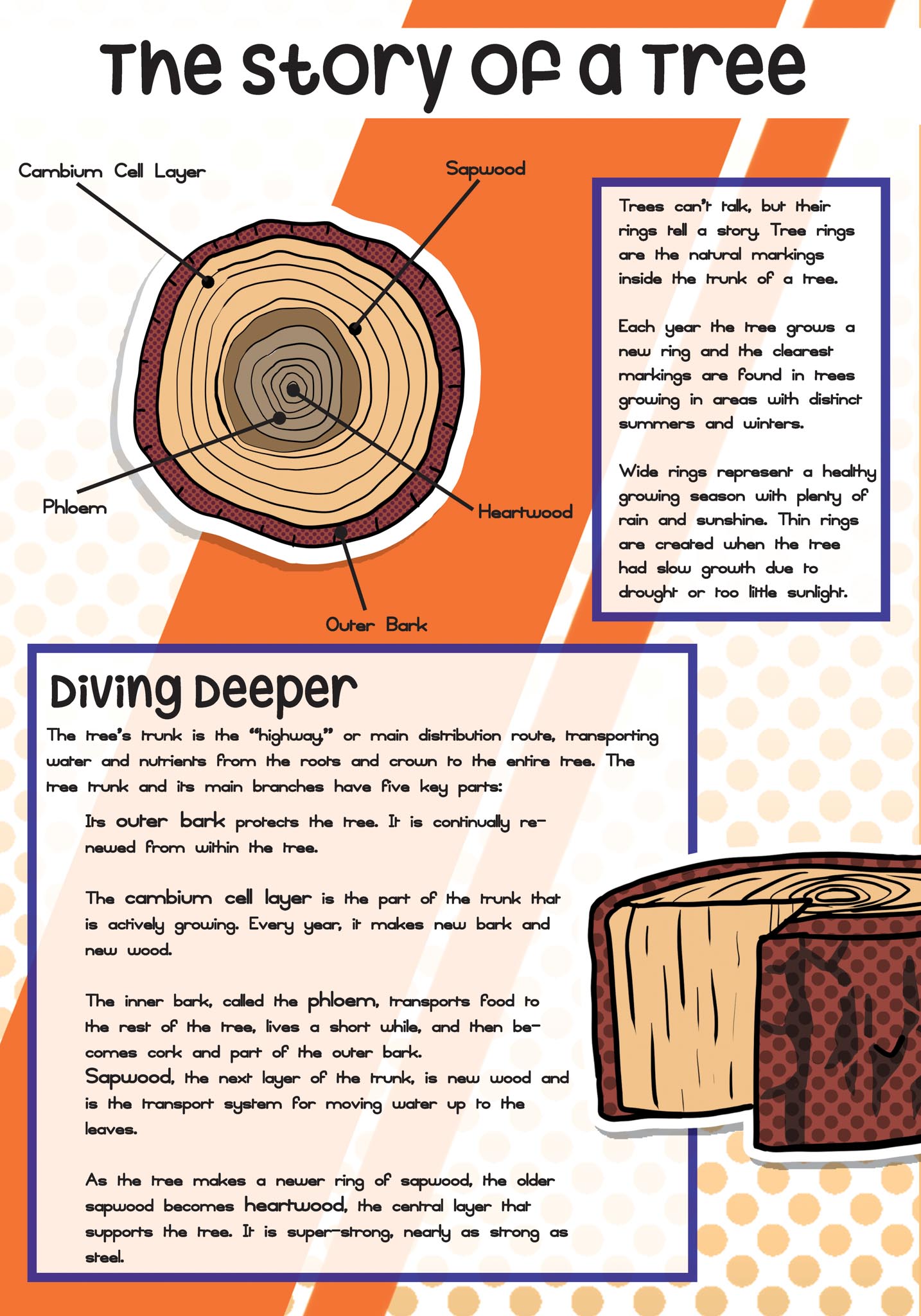 troy elementary info graphics poster 6