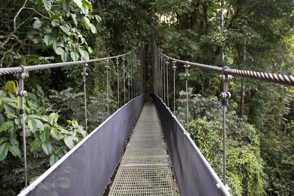 Costa Rica bridge in jungle