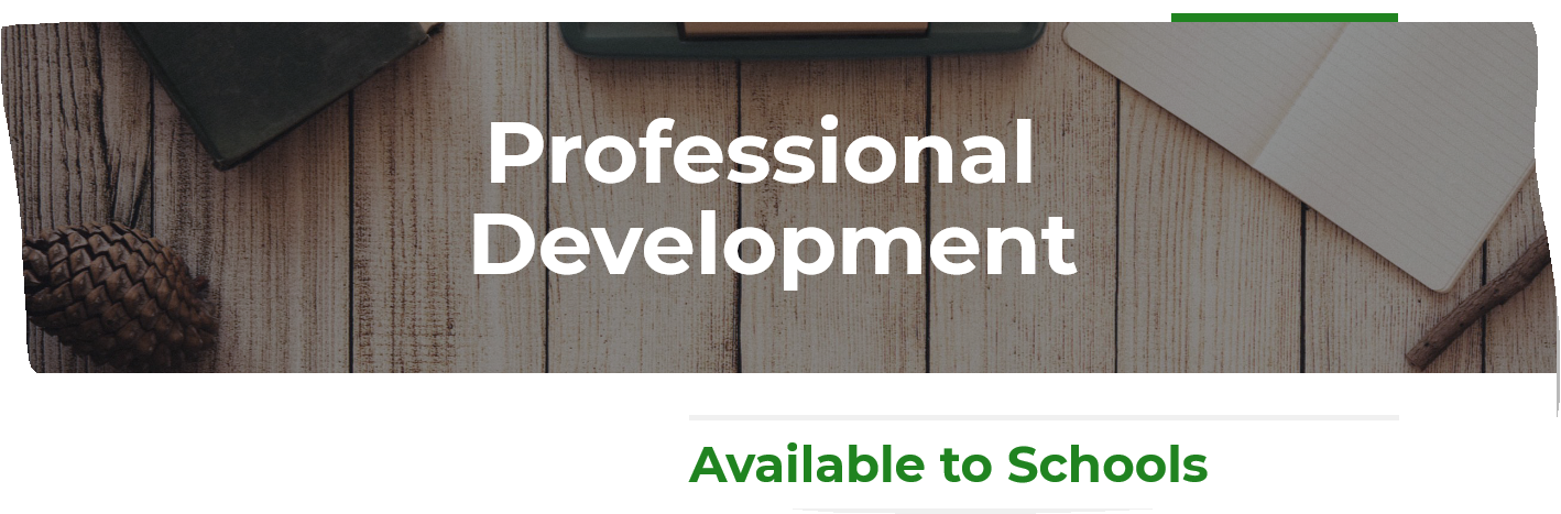 Professional Development Banner