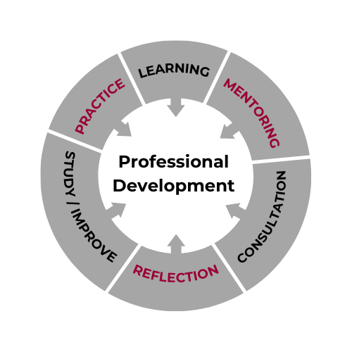 Infographic describing proffessional development by listing characteristics such as; practice, consultation, learning, study and mentoring.