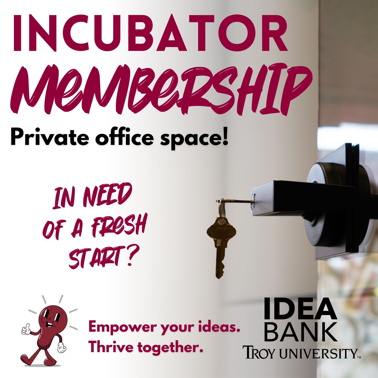 IDEA Bank Incubator Membership