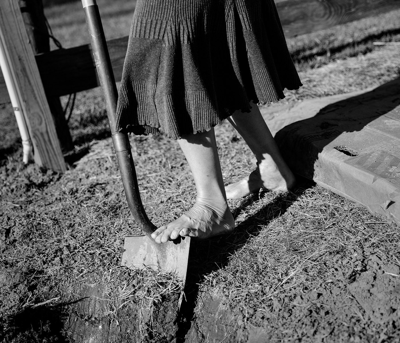 Black and white image of a bare-footed woman driving a shovel into the earth.