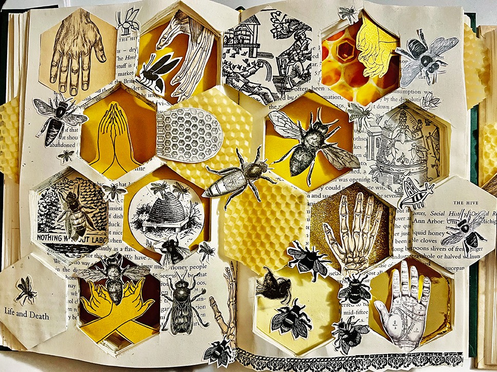 A book with honeycomb cutouts that show a collage of beekeeping imagery sybolizing natural cycles of birth, life, and death. 