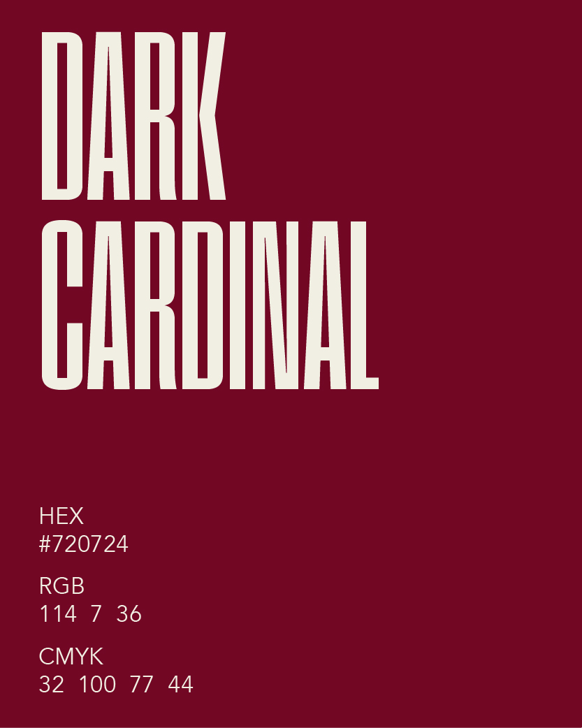 TROY's color pallet - TROY  with hex codes