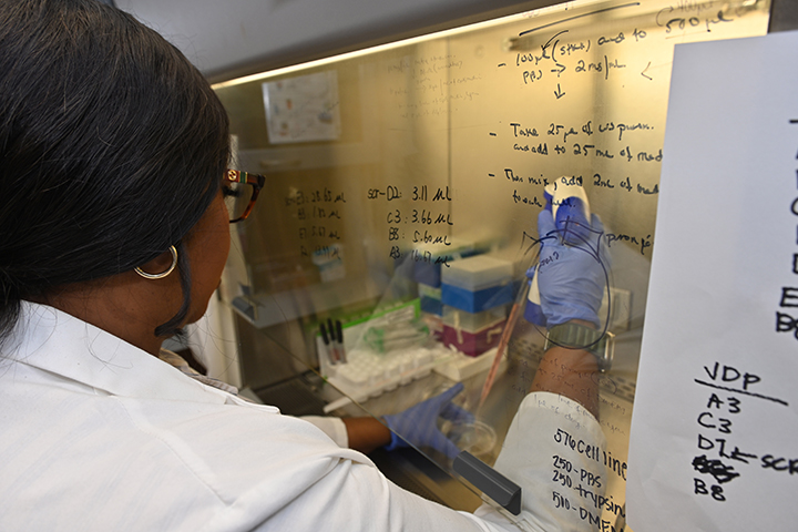 Student working in biomedical lab